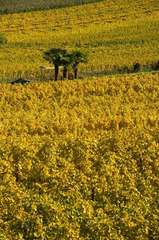 Weingut Wolkanhof Appiano sulla Strada del Vino Kültér fotó