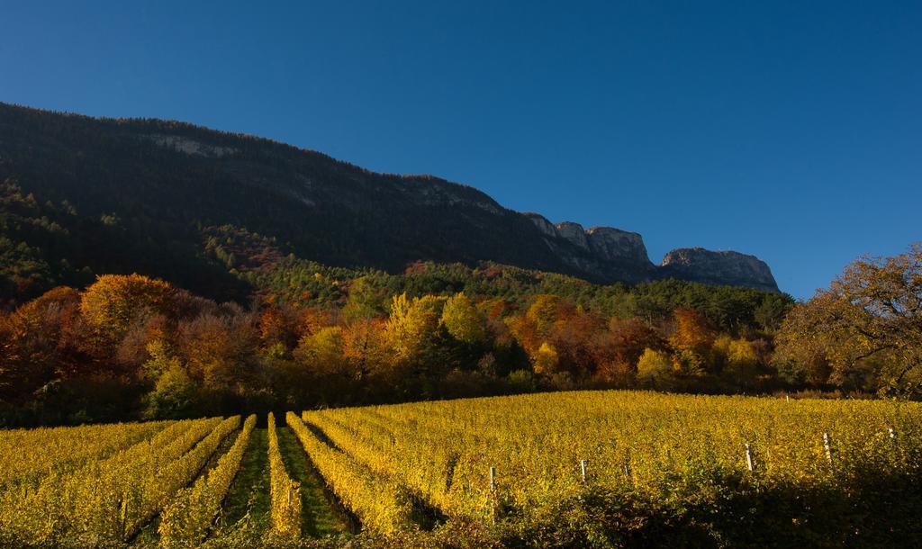 Weingut Wolkanhof Appiano sulla Strada del Vino Kültér fotó