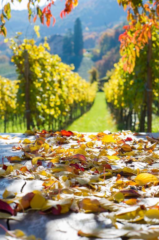 Weingut Wolkanhof Appiano sulla Strada del Vino Kültér fotó